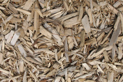 biomass boilers Spurtree