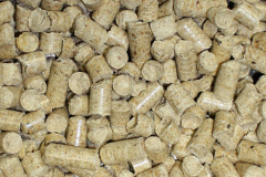 Spurtree biomass boiler costs